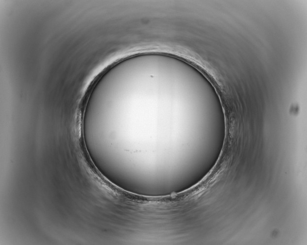 X0000099301510200805161337