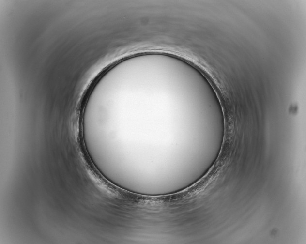 X0000099301511200805161337