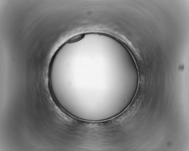 X0000099301512200805161337