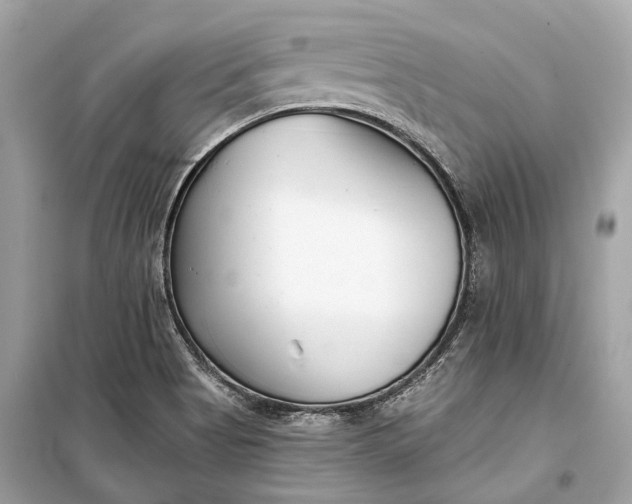 X0000099301513200805161337