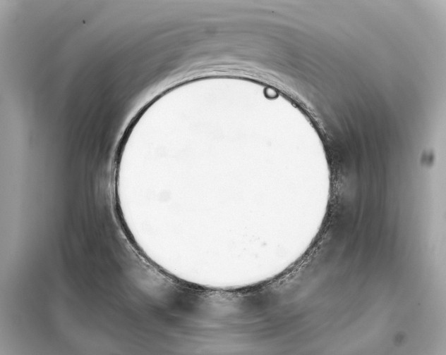 X0000099301514200805161337