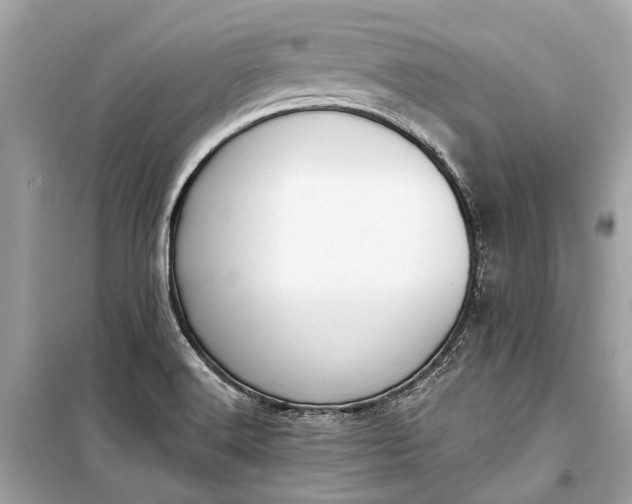 X0000099301516200805161337