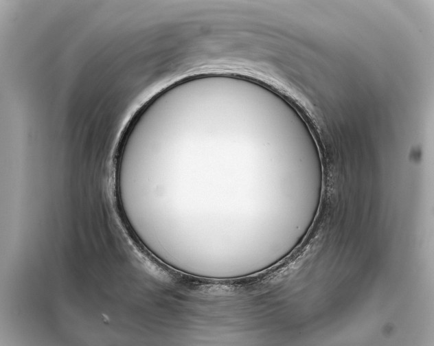 X0000099301517200805161337