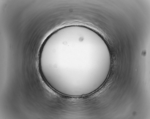 X0000099301518200805161337