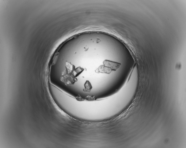 X0000099301519200805161337