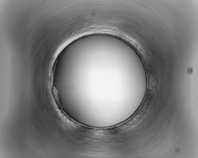 X0000099301520200805161337