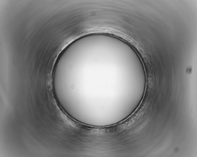 X0000099301521200805161337