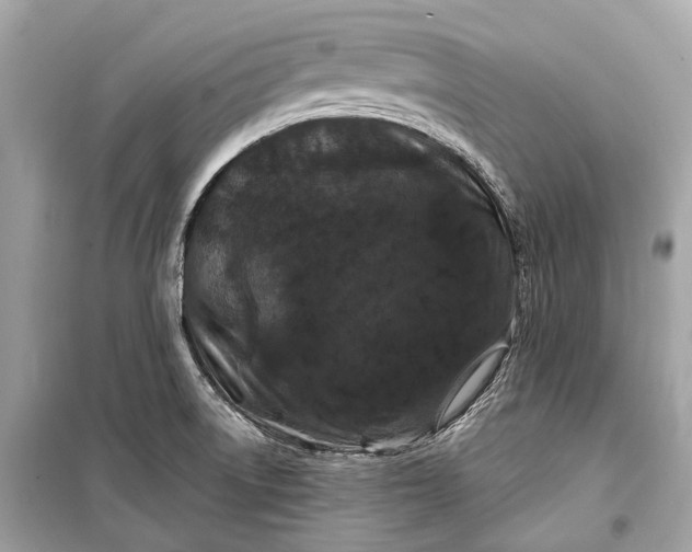 X0000099301522200805161337