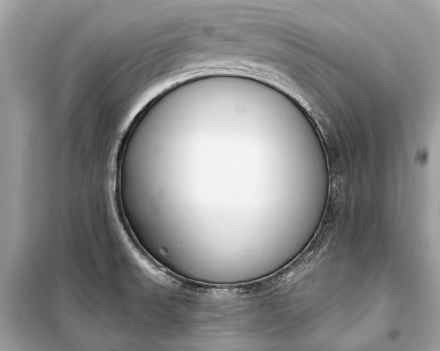 X0000099301523200805161337