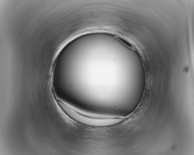 X0000099301524200805161337