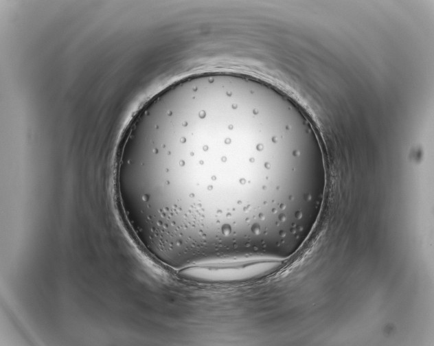 X0000099301525200805161337