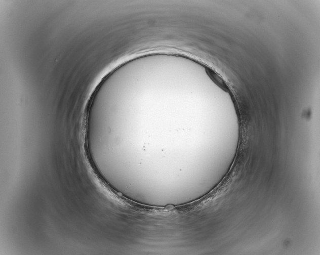 X0000099301526200805161337