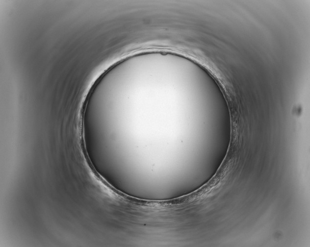 X0000099301527200805161337