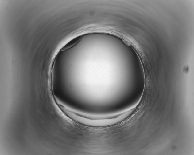 X0000099301528200805161337