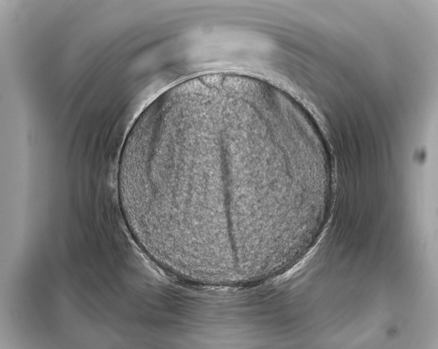 X0000099301529200805161337