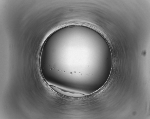 X0000099301530200805161337