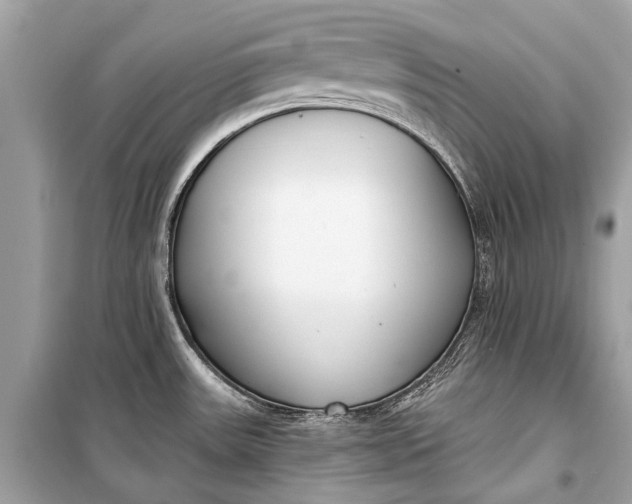 X0000099301531200805161337