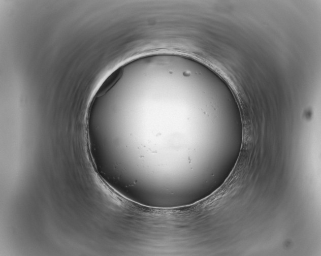 X0000099301532200805161337