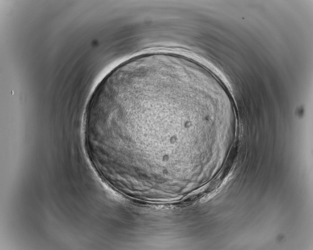 X0000099301533200805161337