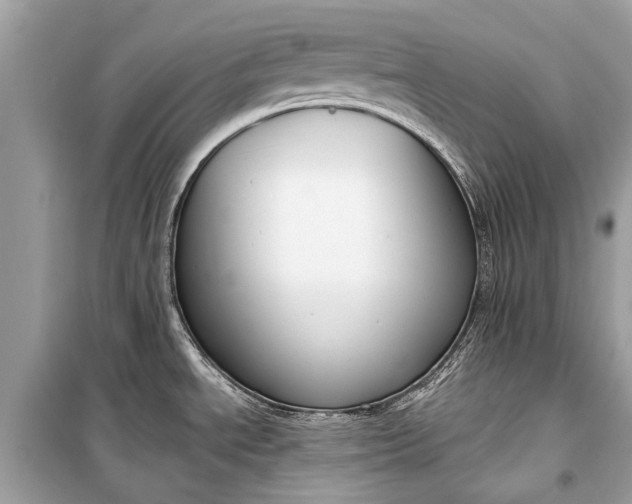 X0000099301534200805161337