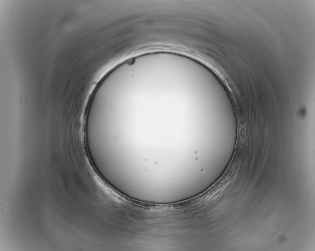 X0000099301535200805161337