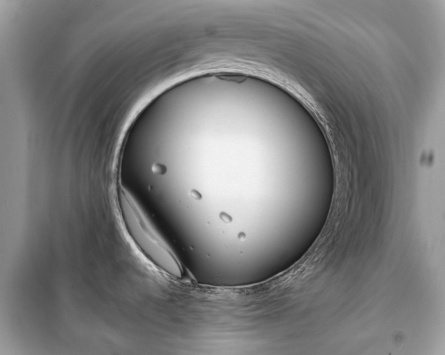 X0000099301536200805161337