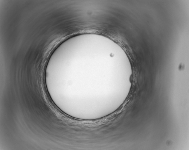 X0000099300001200805231352