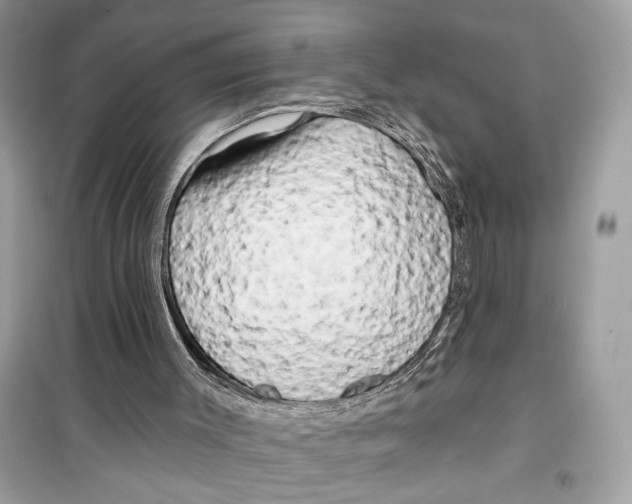 X0000099300003200805231352