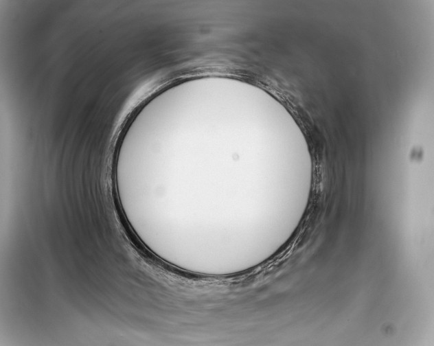 X0000099300004200805231352