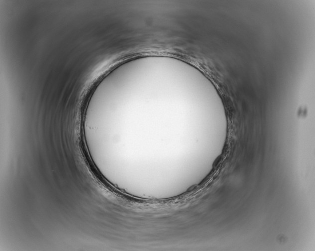 X0000099300005200805231352