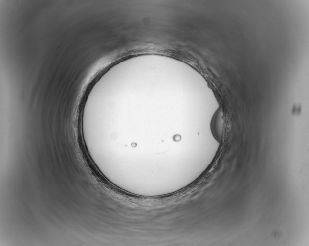 X0000099300006200805231352