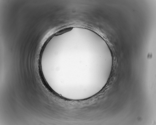 X0000099300007200805231352