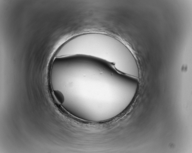 X0000099300008200805231352