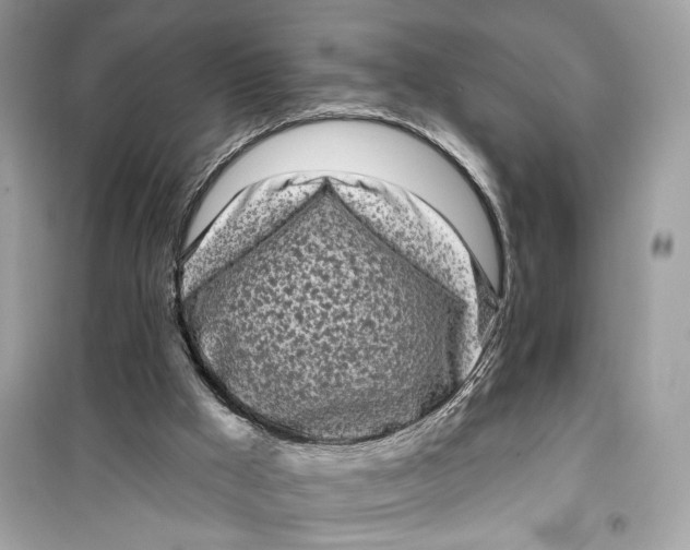 X0000099300009200805231352