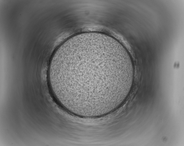 X0000099300010200805231352