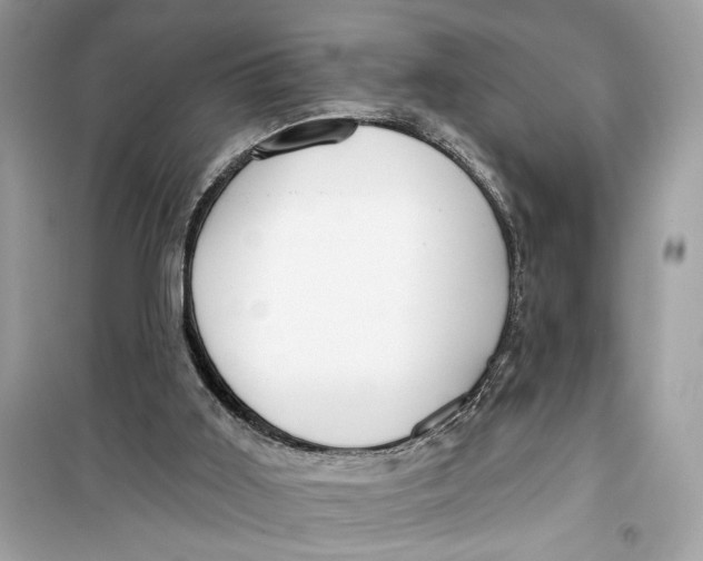 X0000099300011200805231352