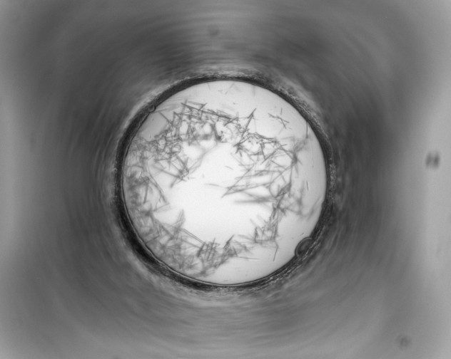 X0000099300012200805231352