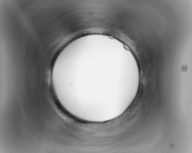 X0000099300013200805231352