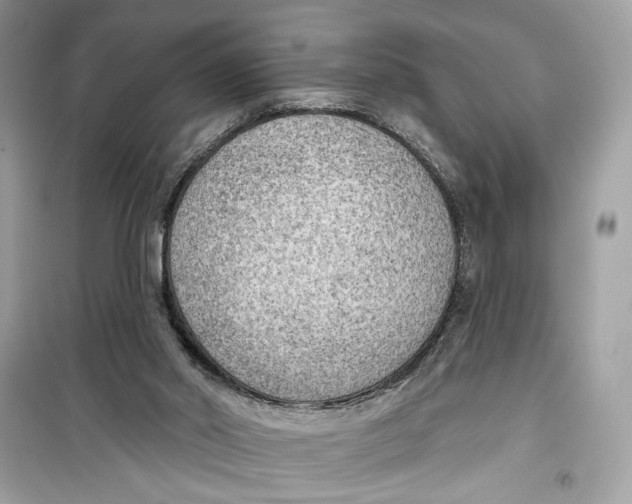 X0000099300014200805231352