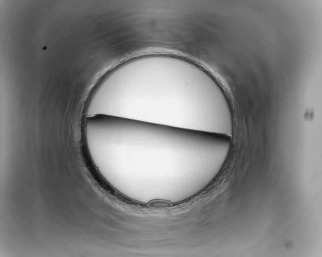 X0000099300015200805231352