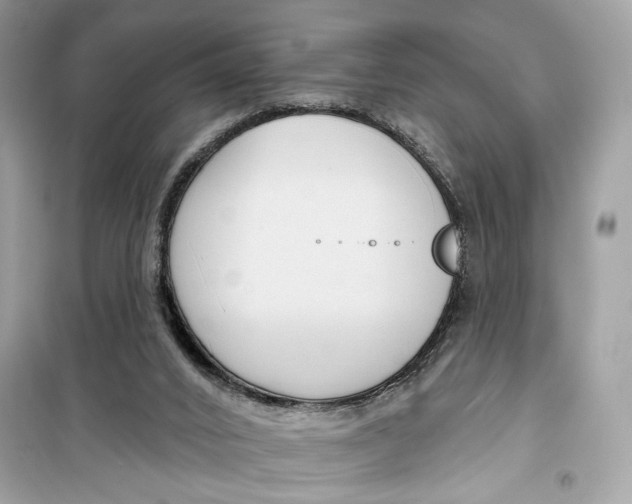 X0000099300016200805231352