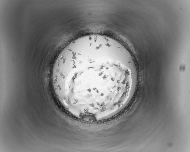 X0000099300018200805231352