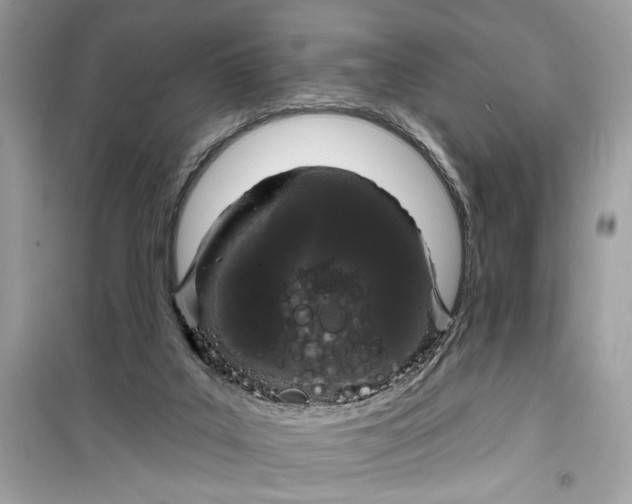 X0000099300019200805231352