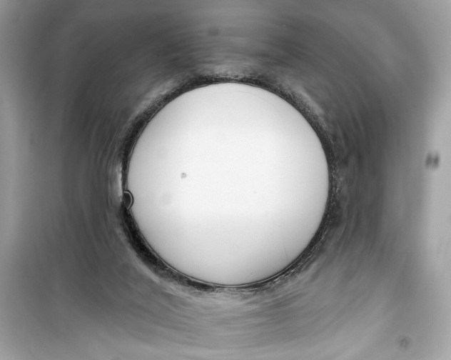 X0000099300020200805231351