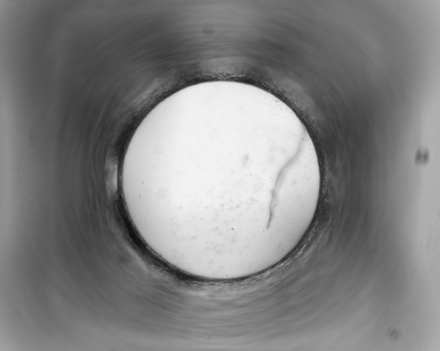 X0000099300021200805231351