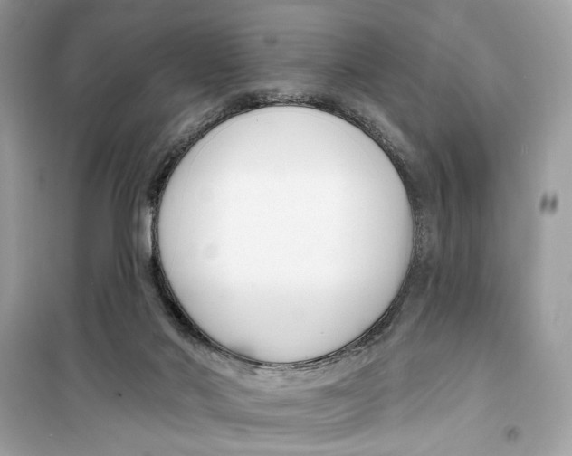 X0000099300022200805231351