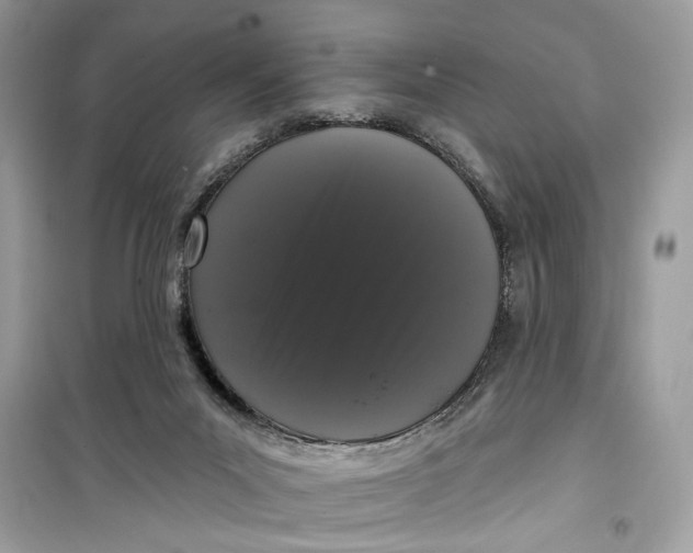 X0000099300023200805231351