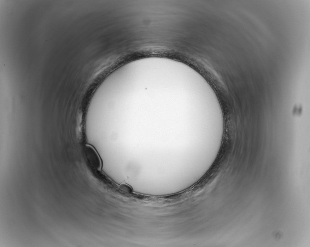 X0000099300024200805231351