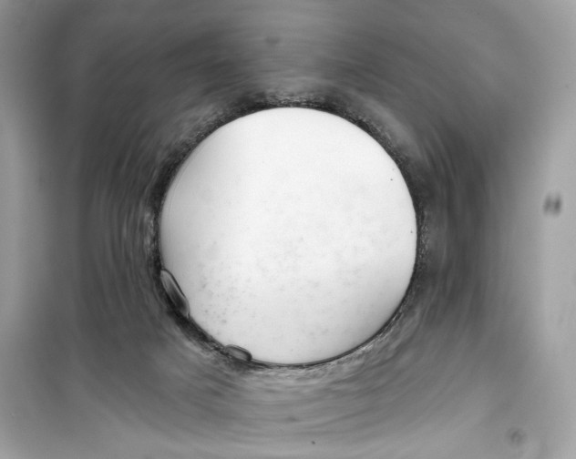 X0000099300025200805231351