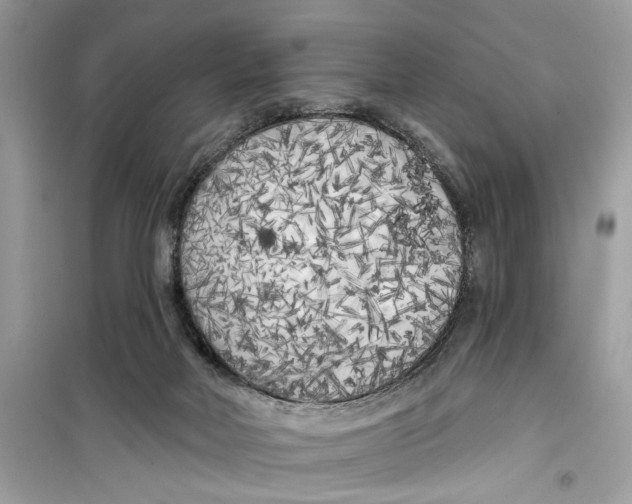 X0000099300026200805231351